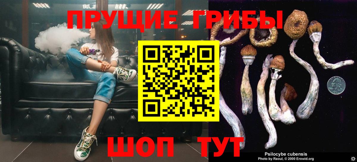 Галлюциногенные грибы Psilocybine cubensis  Вход с VPN  Ефремов  дарнет шоп  Галлюциногенные грибы мицелий 